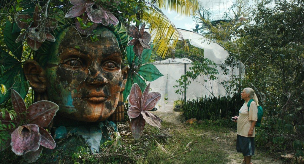 actualité LES VOYAGES DE TEREZA