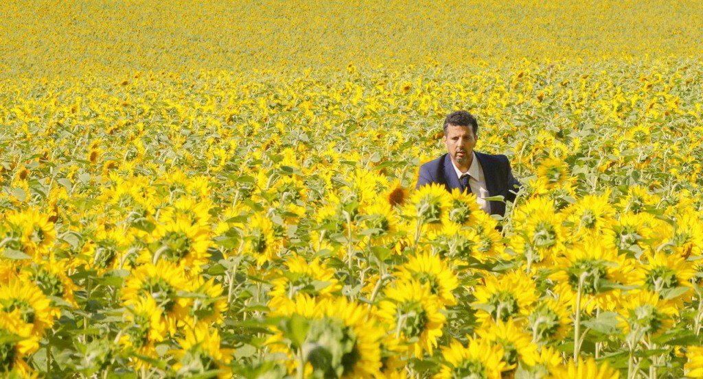 actualité ANIMAL TOTEM